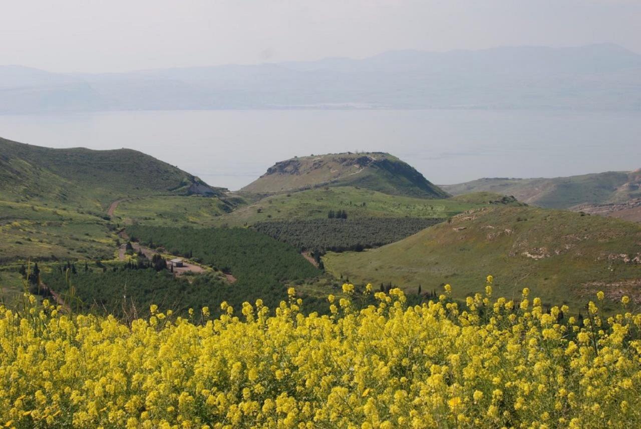 Lakeside Terrace Neot Golan Buitenkant foto